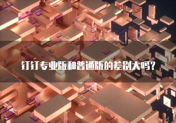钉钉专业版和普通版的差别大吗?