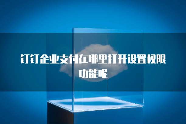 钉钉企业支付在哪里打开设置权限功能呢