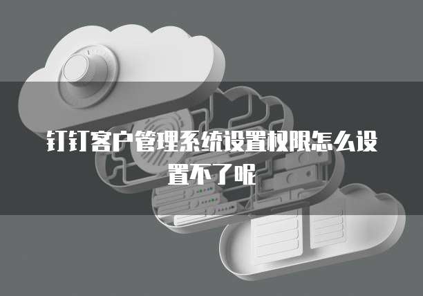 钉钉客户管理系统设置权限怎么设置不了呢