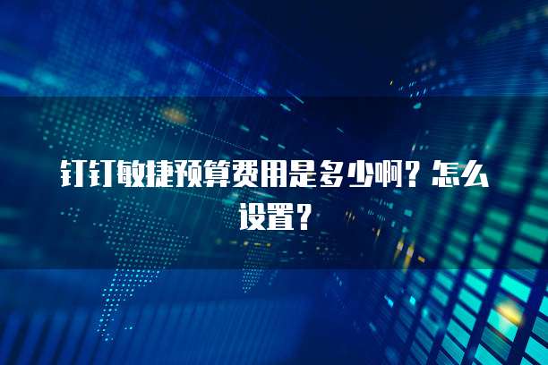 钉钉敏捷预算费用是多少啊?怎么设置?