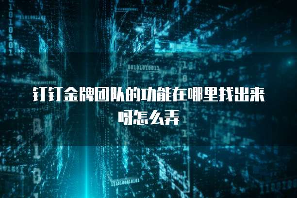 钉钉金牌团队的功能在哪里找出来呀怎么弄