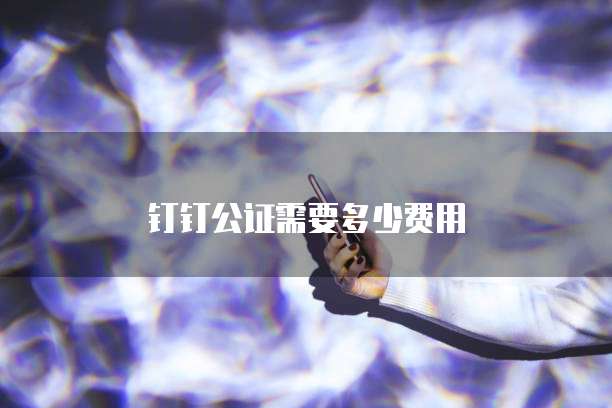 钉钉公证需要多少费用