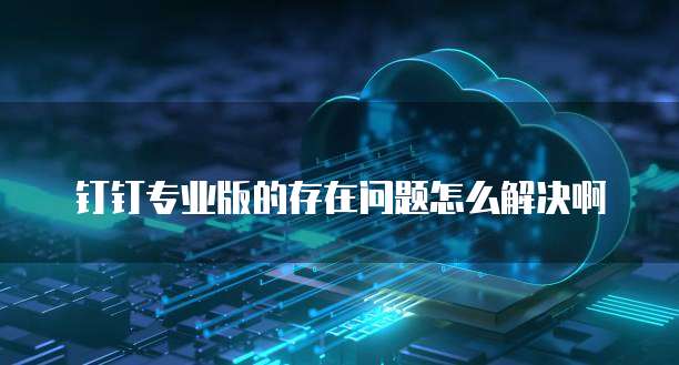 钉钉专业版的存在问题怎么解决啊