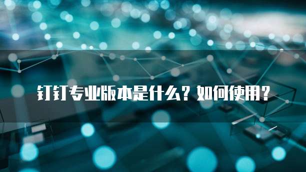 钉钉专业版本是什么?如何使用?