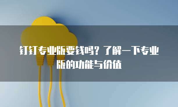 钉钉专业版要钱吗?了解一下专业版的功能与价值