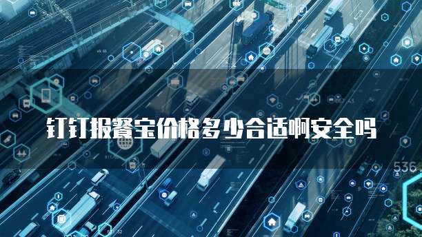 钉钉报餐宝价格多少合适啊安全吗