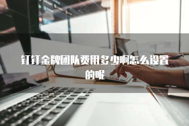 钉钉金牌团队费用多少啊怎么设置的呢
