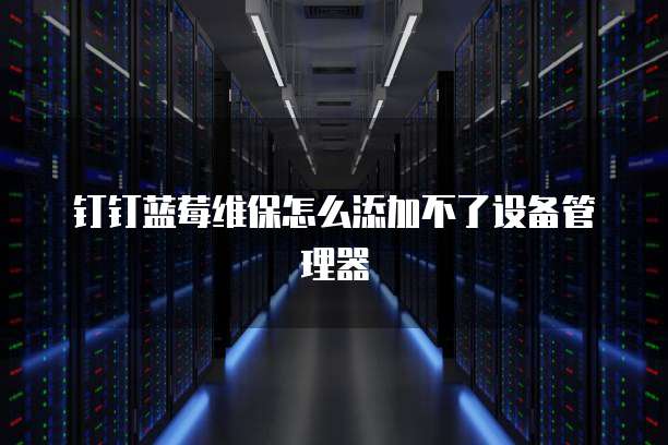 钉钉蓝莓维保怎么添加不了设备管理器