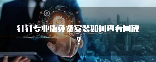 钉钉专业版免费安装如何查看回放?