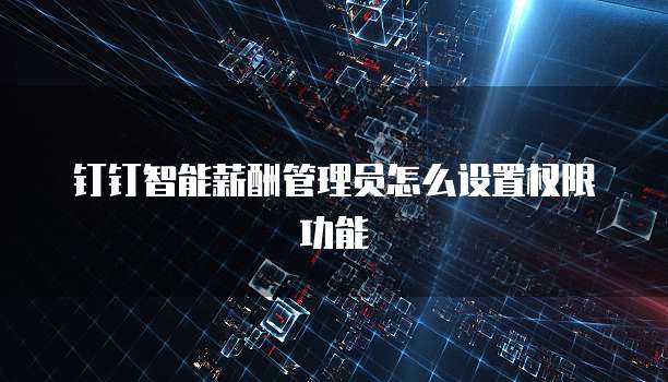 钉钉智能薪酬管理员怎么设置权限功能