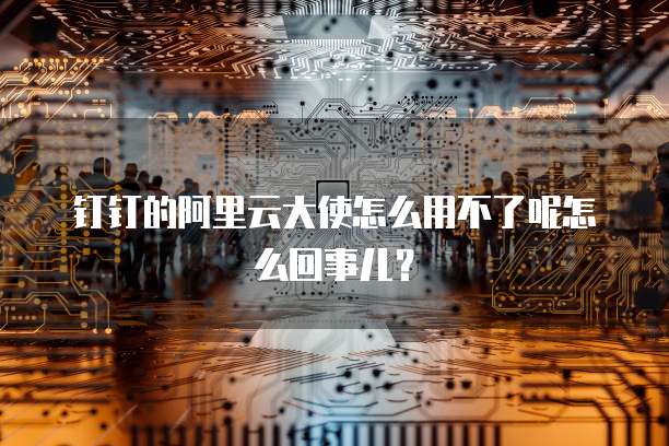 钉钉的阿里云大使怎么用不了呢怎么回事儿?