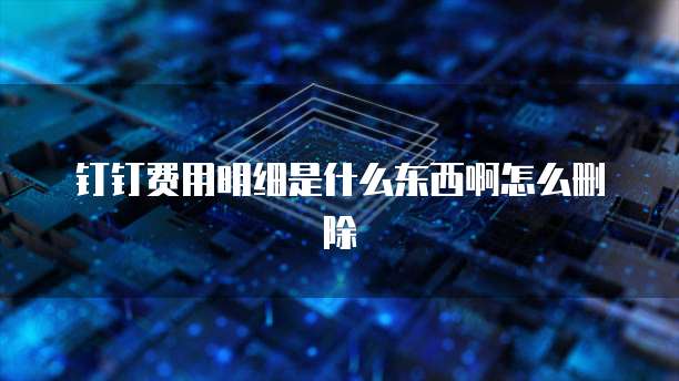 钉钉费用明细是什么东西啊怎么删除