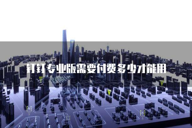 钉钉专业版需要付费多少才能用