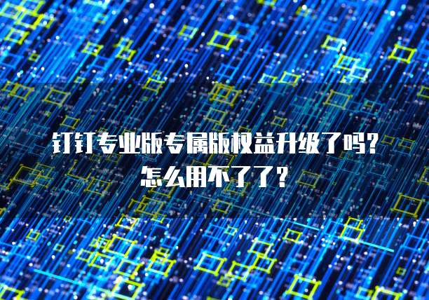 钉钉专业版专属版权益升级了吗?怎么用不了了?