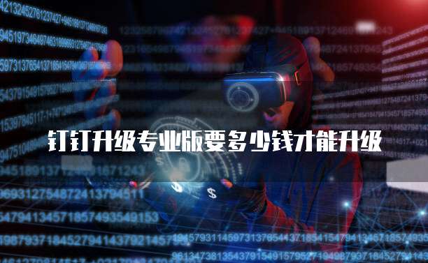 钉钉升级专业版要多少钱才能升级