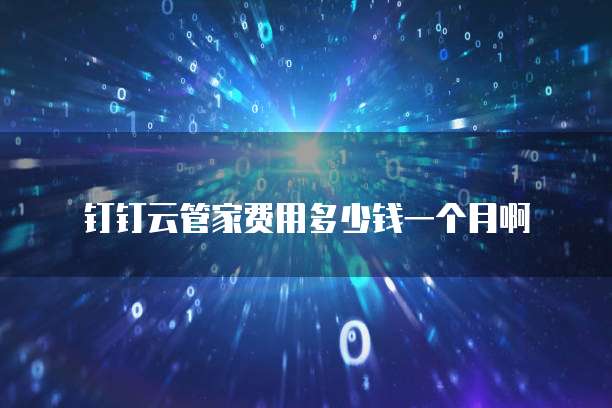 钉钉云管家费用多少钱一个月啊