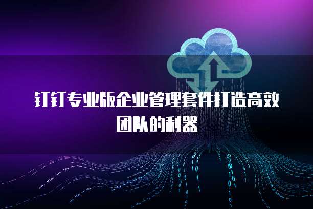 钉钉专业版企业管理套件打造高效团队的利器