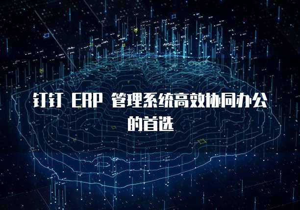 钉钉 ERP 管理系统高效协同办公的首选
