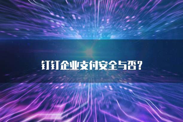 钉钉企业支付安全与否？