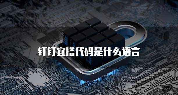 钉钉宜搭代码是什么语言