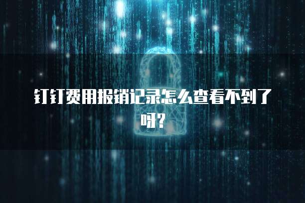 钉钉费用报销记录怎么查看不到了呀?