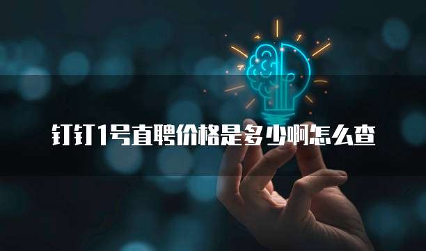 钉钉1号直聘价格是多少啊怎么查