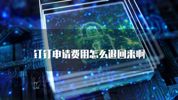 钉钉申请费用怎么退回来啊