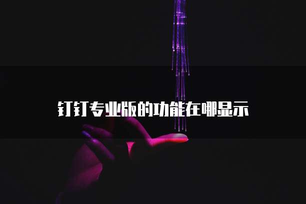 钉钉专业版的功能在哪显示