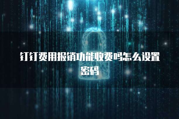 钉钉费用报销功能收费吗怎么设置密码