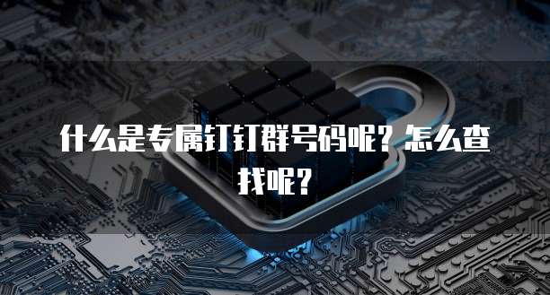 什么是专属钉钉群号码呢?怎么查找呢?