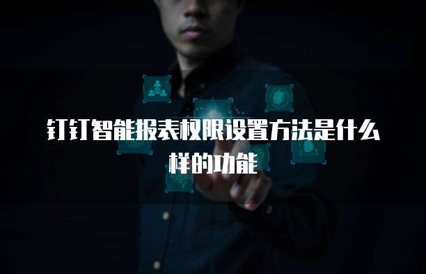 钉钉智能报表权限设置方法是什么样的功能