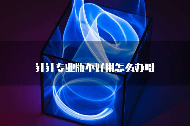 钉钉专业版不好用怎么办呀