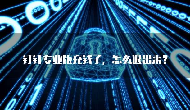 钉钉专业版充钱了,怎么退出来?