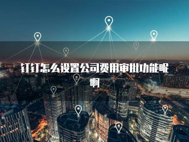 钉钉怎么设置公司费用审批功能呢啊
