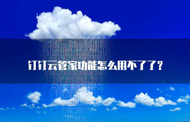 钉钉云管家功能怎么用不了了?