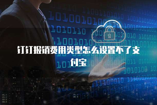 钉钉报销费用类型怎么设置不了支付宝