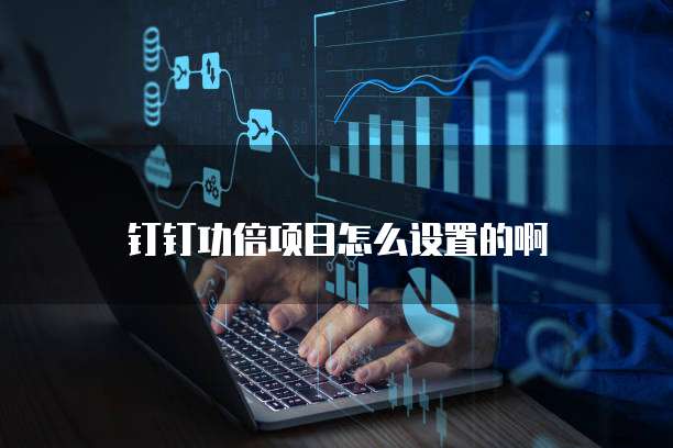 钉钉功倍项目怎么设置的啊