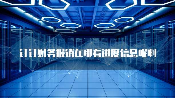 钉钉财务报销在哪看进度信息呢啊