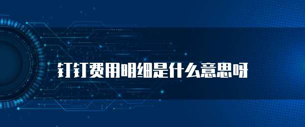 钉钉费用明细是什么意思呀