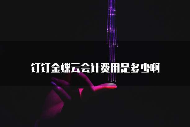 钉钉金蝶云会计费用是多少啊
