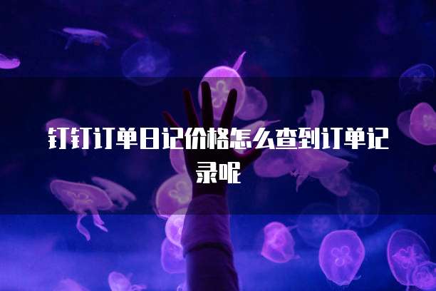 钉钉订单日记价格怎么查到订单记录呢