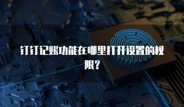 钉钉记账功能在哪里打开设置的权限?
