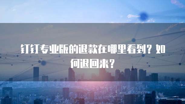 钉钉专业版的退款在哪里看到?如何退回来?