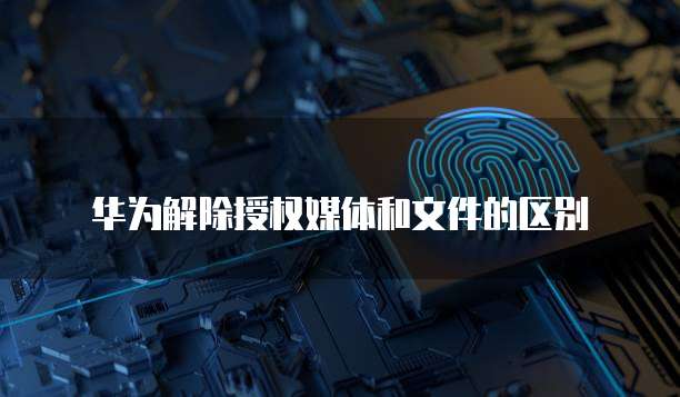 钉钉公贝资产在哪里查看账号信息