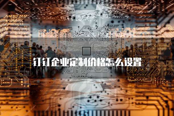 钉钉企业定制价格怎么设置