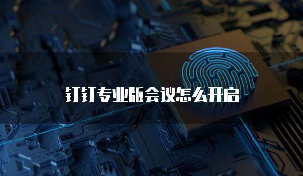 钉钉专业版会议怎么开启