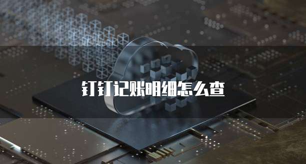 钉钉记账明细怎么查