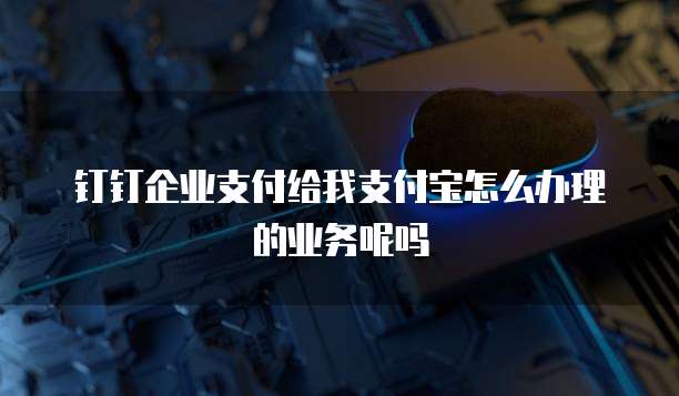 钉钉企业支付给我支付宝怎么办理的业务呢吗