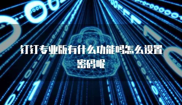 钉钉专业版有什么功能吗怎么设置密码呢