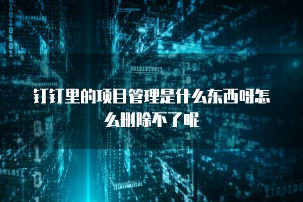 钉钉里的项目管理是什么东西呀怎么删除不了呢